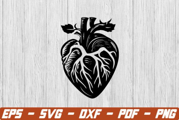Anatomical Heart SVG and Heart Clip Art: A Practical Guide to Choosing Quality Designs