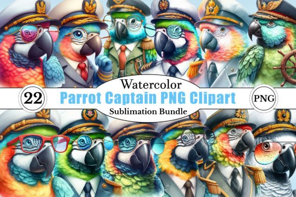 Watercolor Parrot Captain PNG Clipart Uses